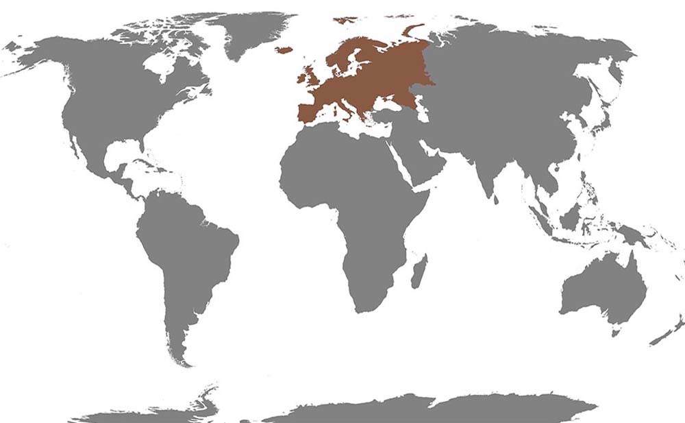 Mueller Electric Europe World Map